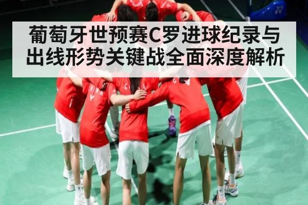 葡萄牙世预赛C罗进球纪录与出线形势关键战全面深度解析 - NG28