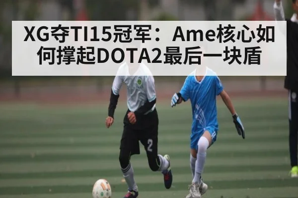 XG夺TI15冠军：Ame核心如何撑起DOTA2最后一块盾 - NG28